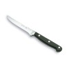 Cuchillo Deshuesador Classic